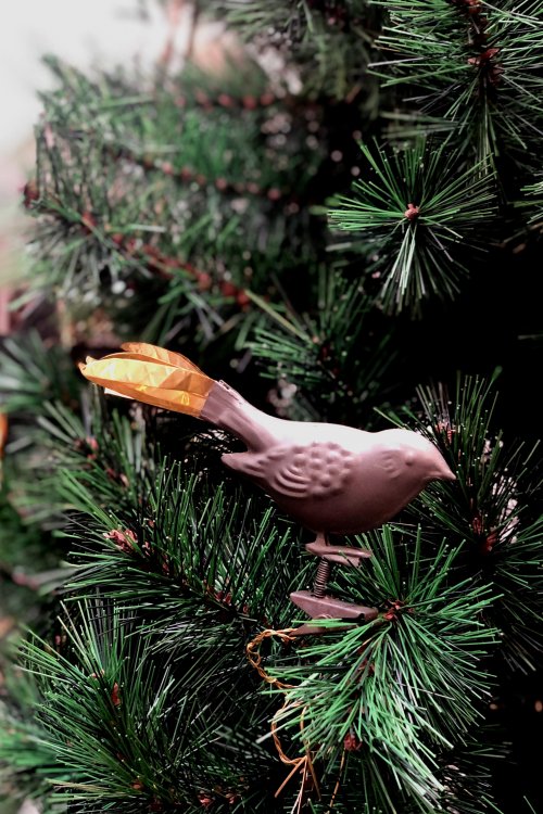 Walther & Co | Clip-on Bird with Copper Tail Christmas Decoration | 7cm